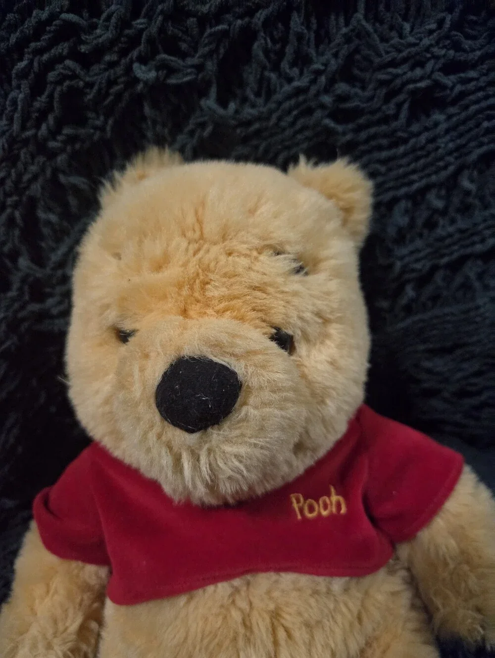 Disney Winnie the Pooh Plush Toy